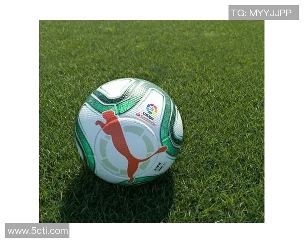 西甲联赛的电视转播平台及频道选择